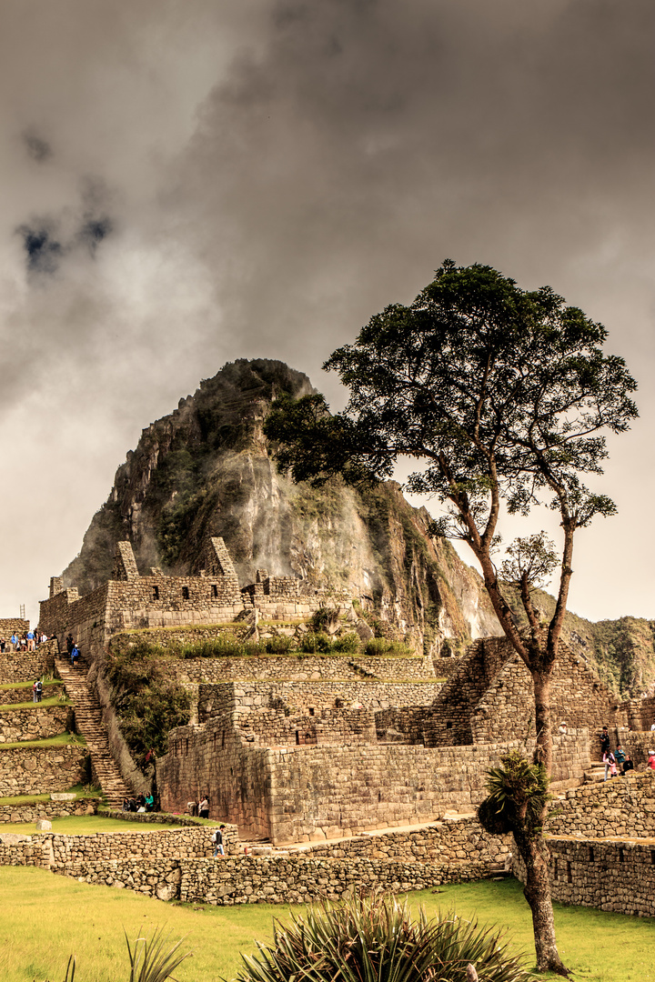 Machu Picchu