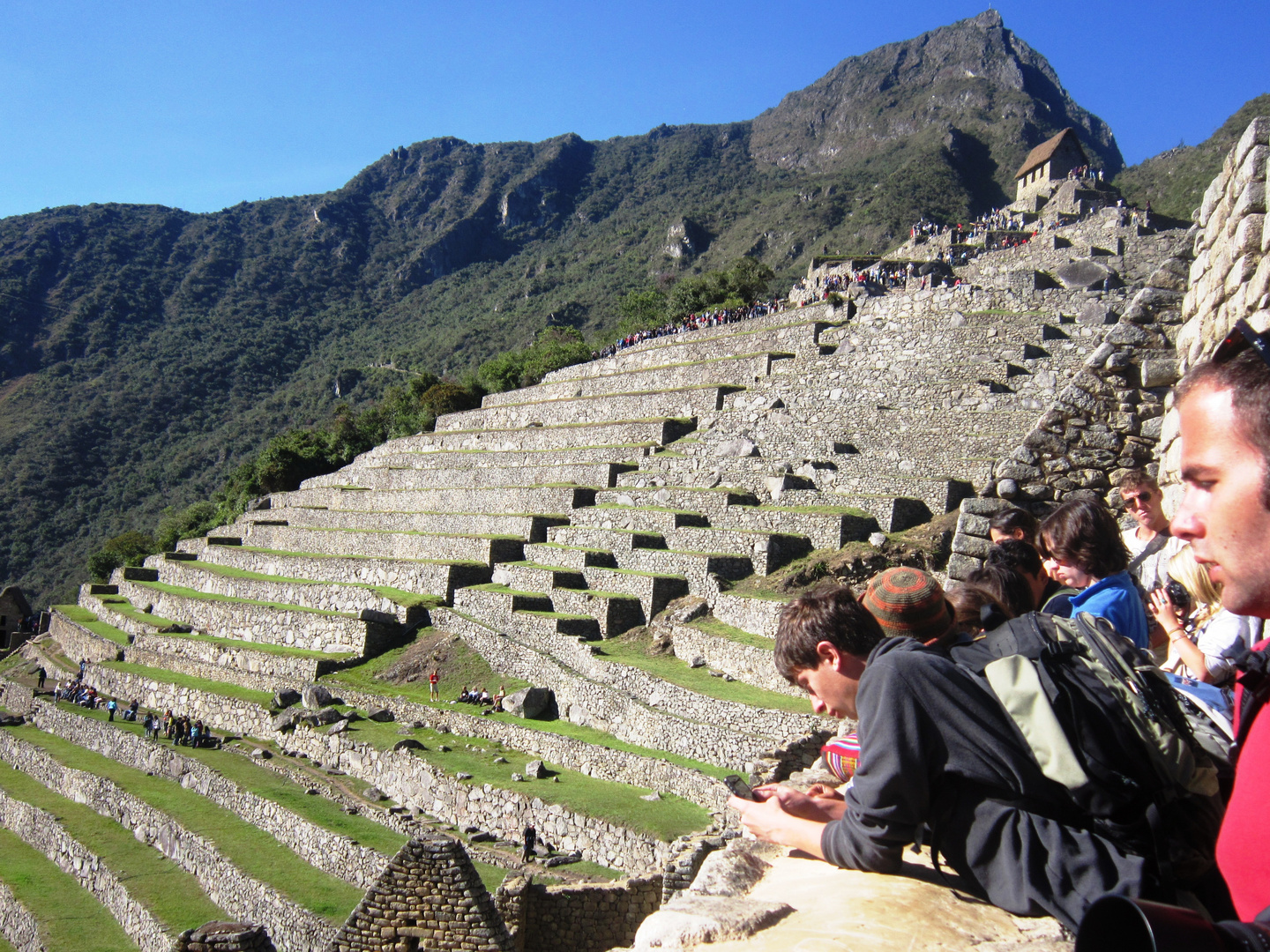 Machu PIcchu 8