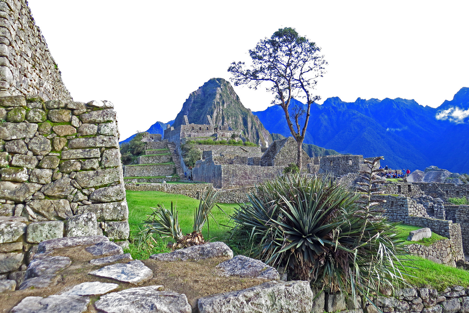 Machu Picchu