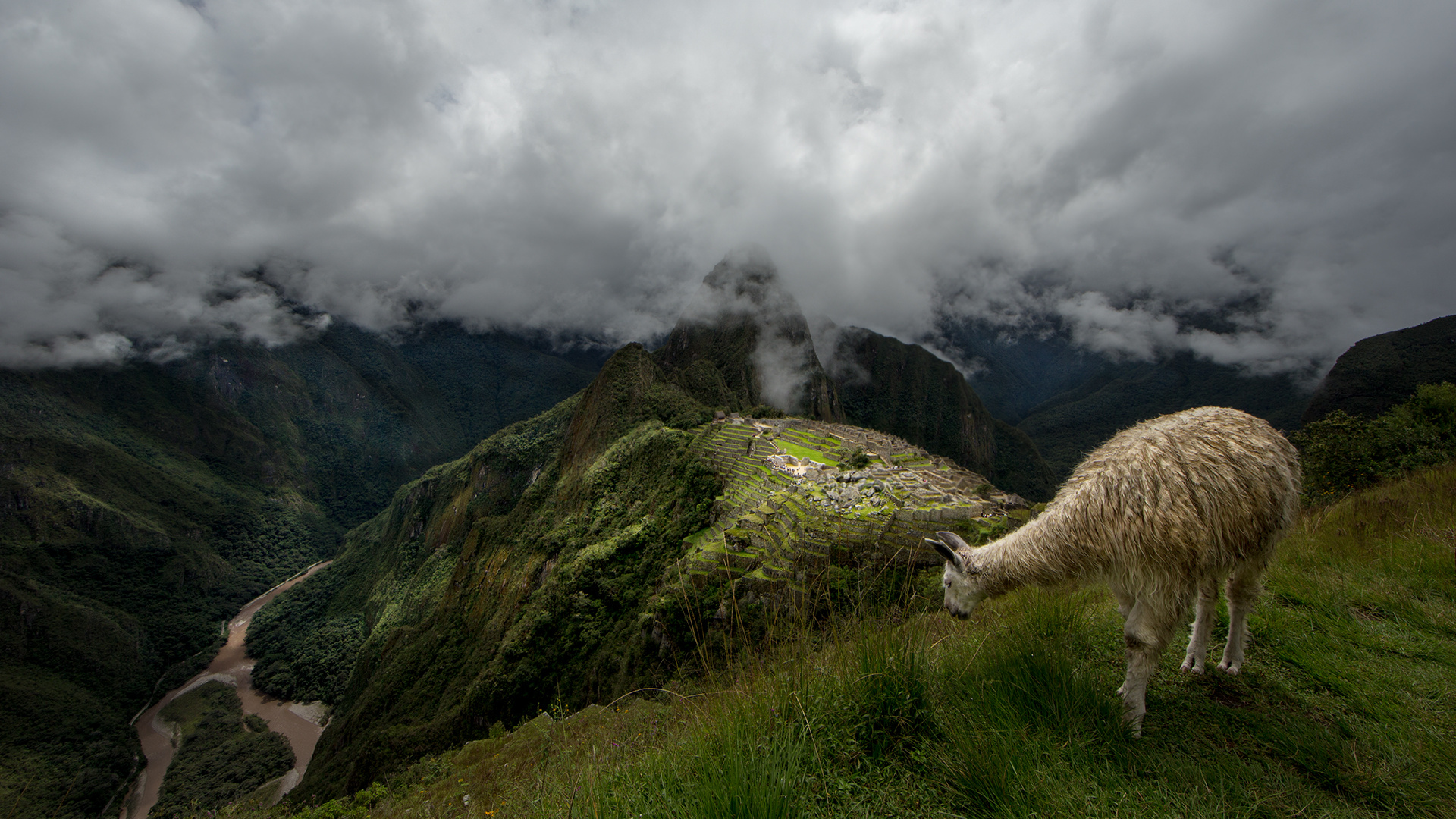 Machu Picchu