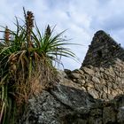 Machu Picchu Detail