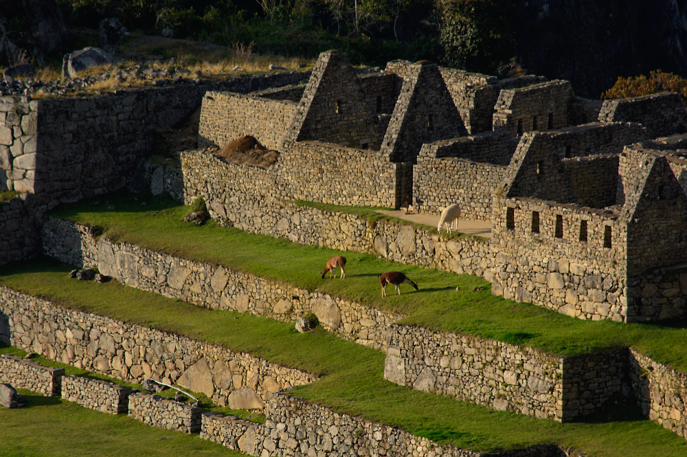 Machu Picchu Detail