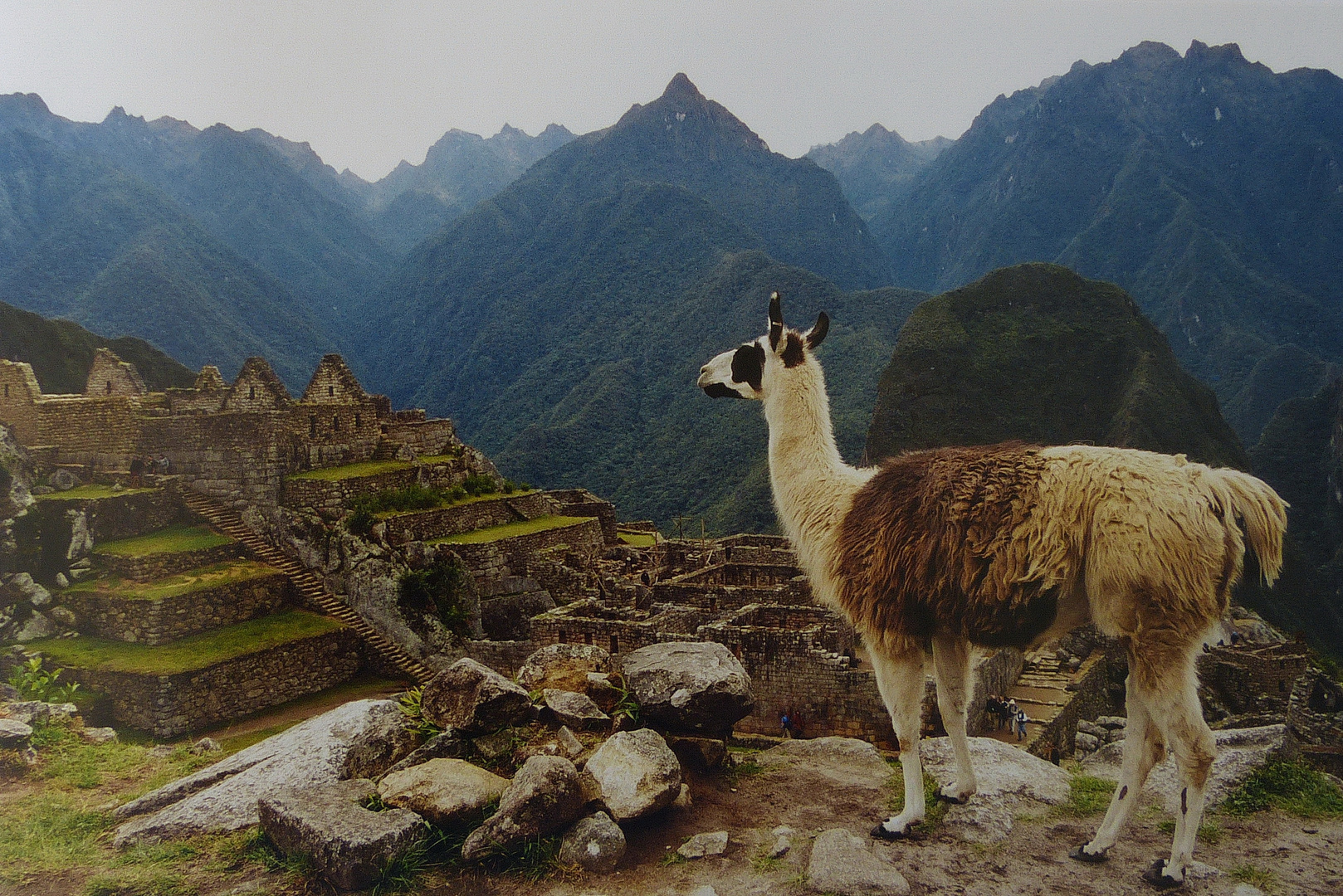 Machu Picchu einmal anders