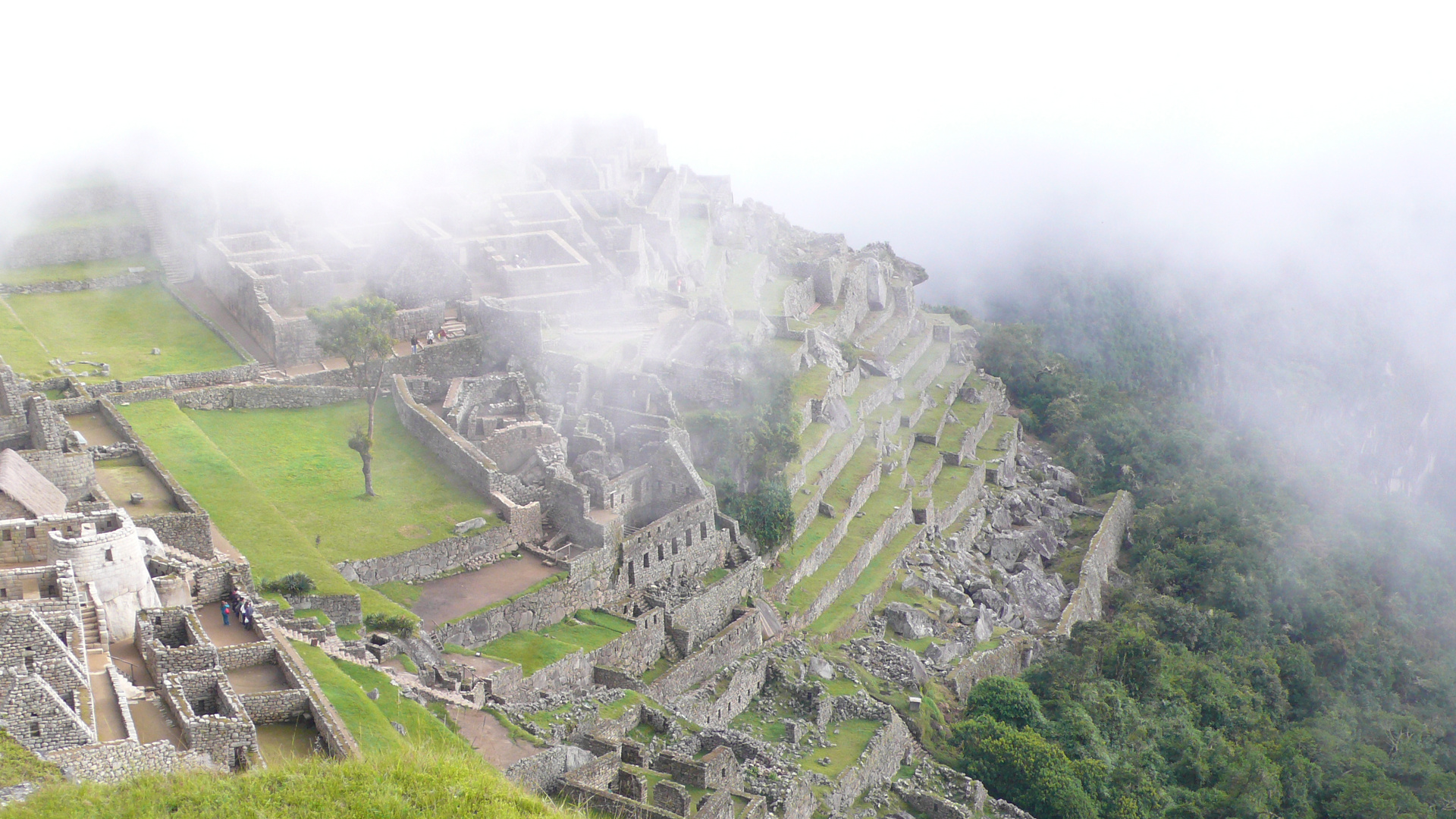 Machu Picchu im Nebel