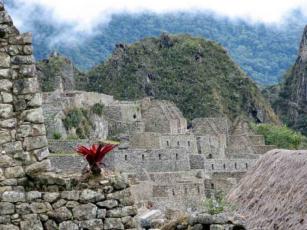 Machu Picchu mit Blüte