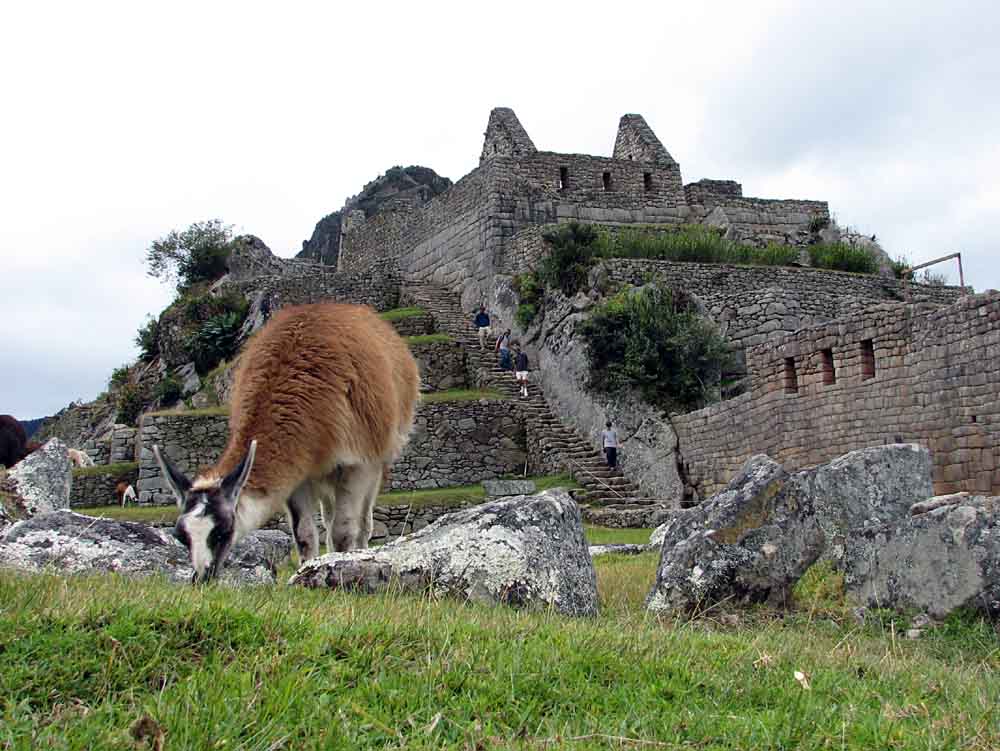 Machu Picchu mit einem Einheimischen