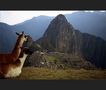 Machu Picchu mit Lamas by Konrad Kl.