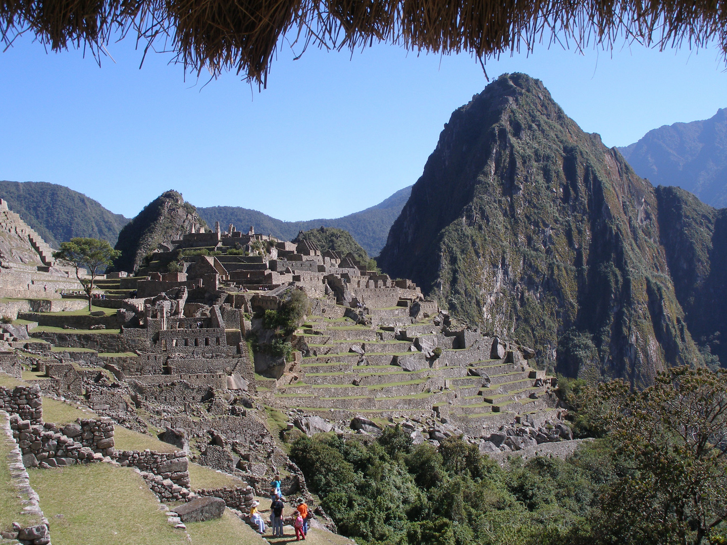 Machu Picchu P7090119