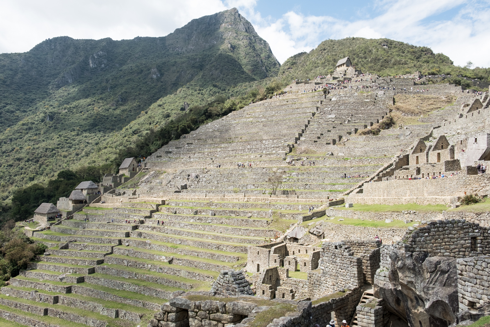 Machu Picchu - Terrassen