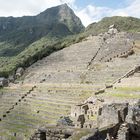 Machu Picchu - Terrassen