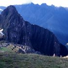 Machu Picchu y llamita blanca.