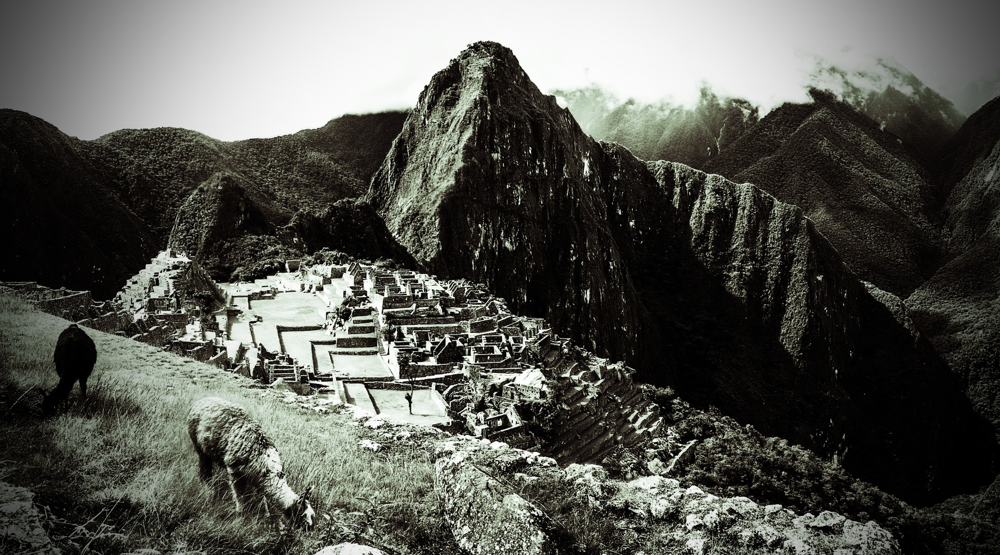 Machu Pichu