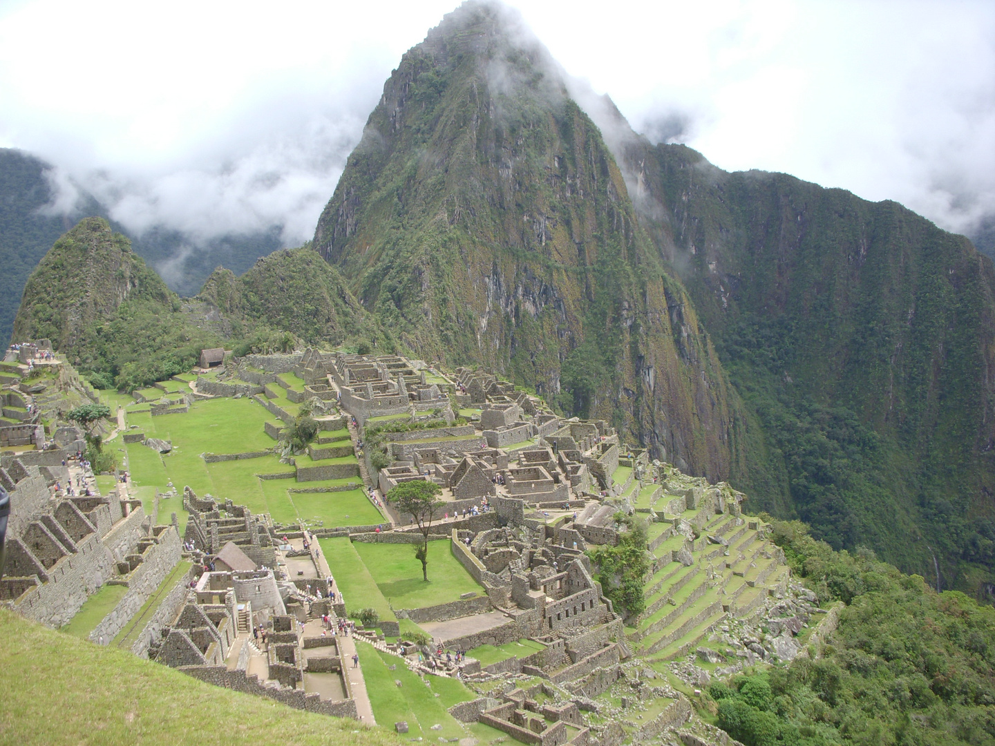 MACHU PIICHU