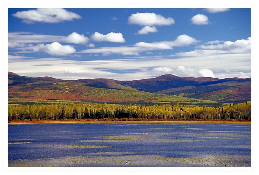 Mackenzie Mountains