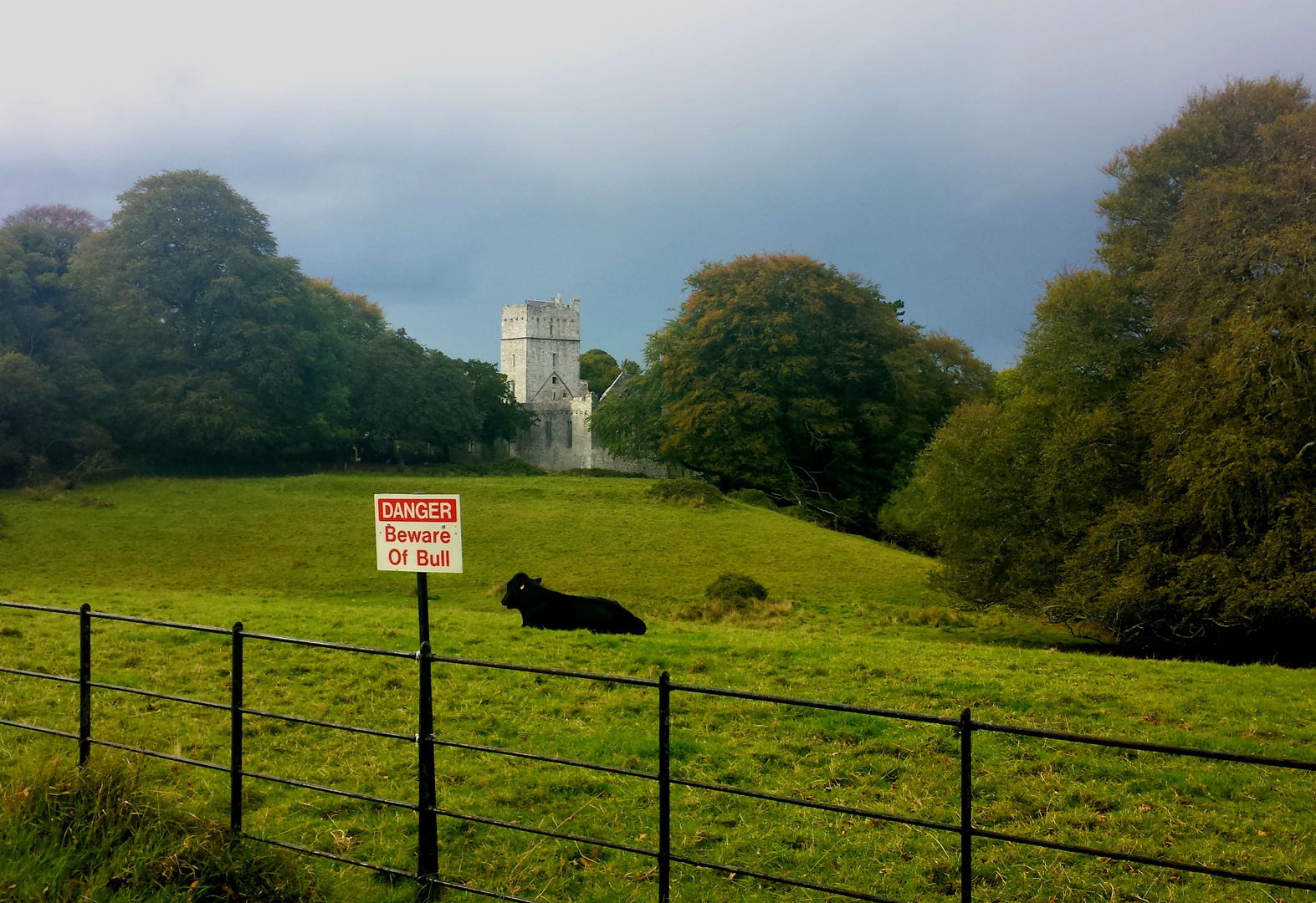 Mackross Abbey, Killarney