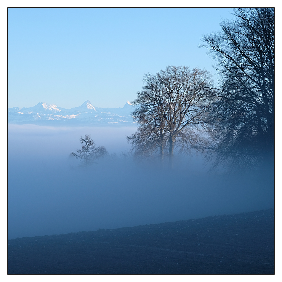 [ macolin ] Foto & Bild januar, bäume, himmel Bilder auf