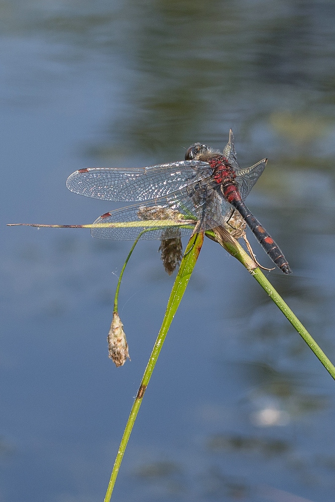 Macro Nachlese 2014