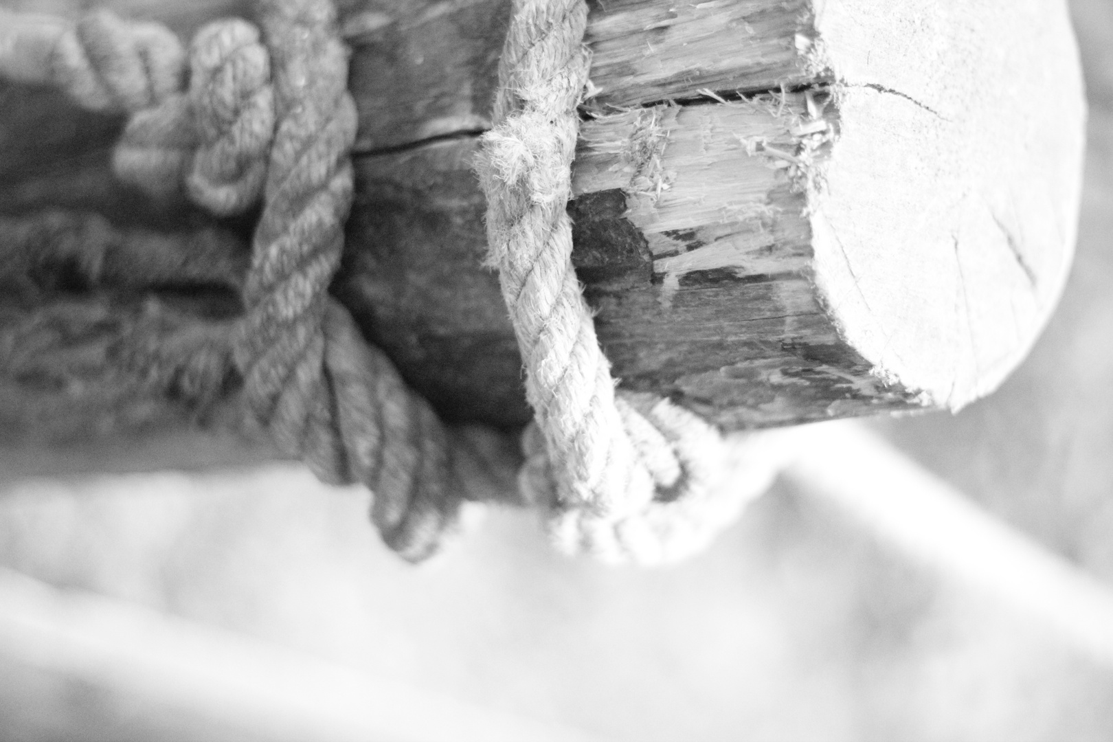 Macro Rope