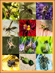 Macro Zusammenstellung