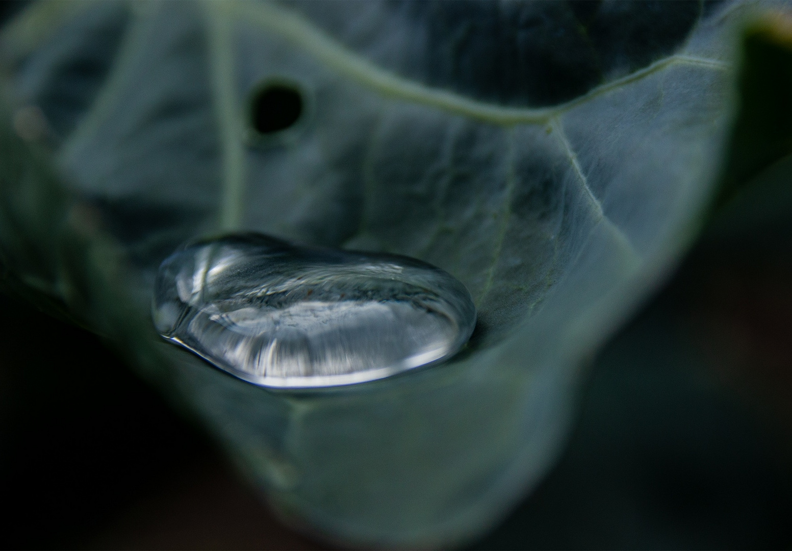 Macroaufnahme von einem Wassertropfen