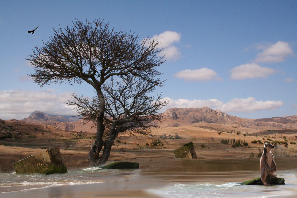 Madagascar "l'île rouge"