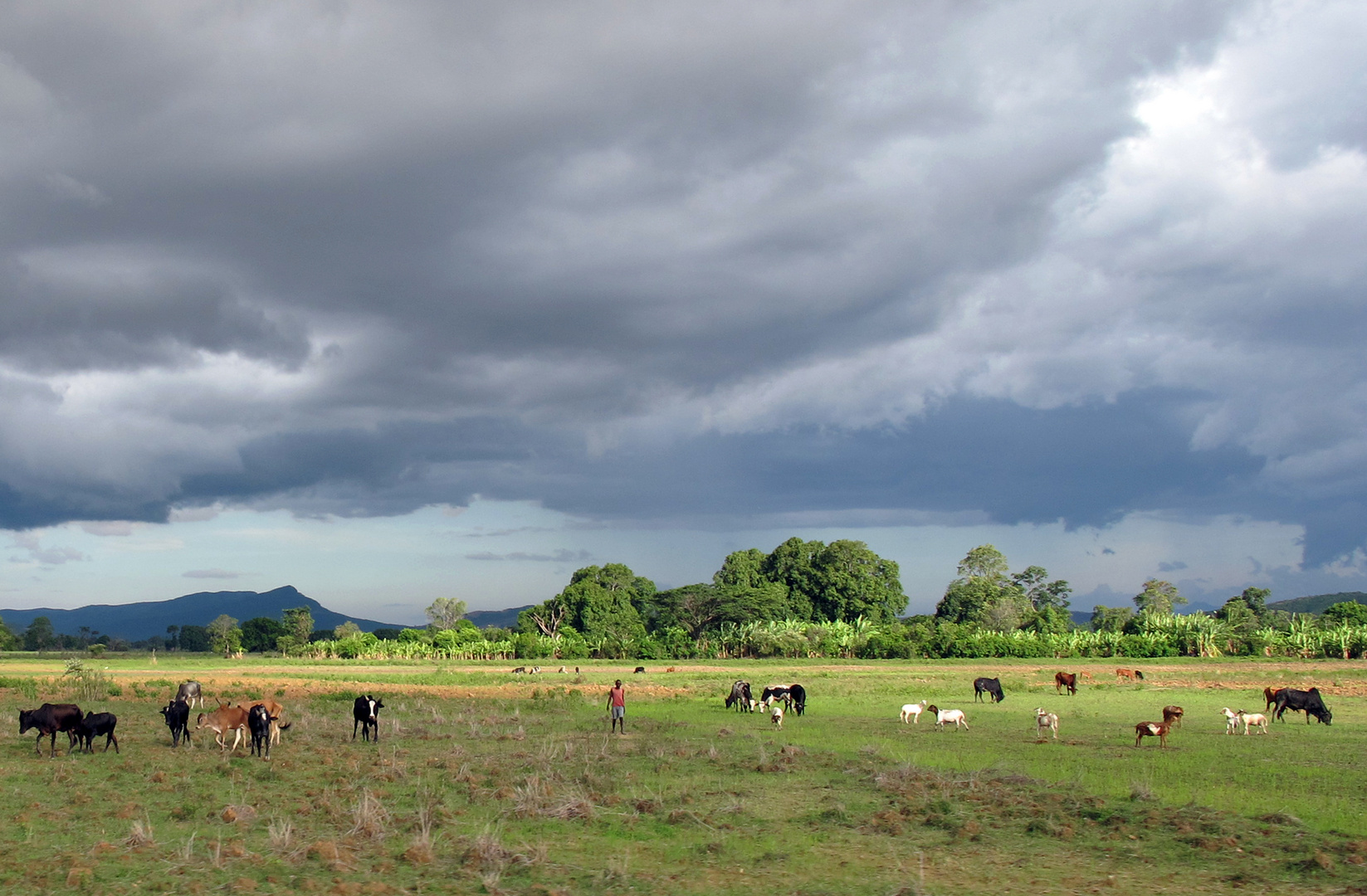 Madagascar Nature