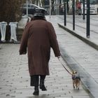 Madame promène son chien...