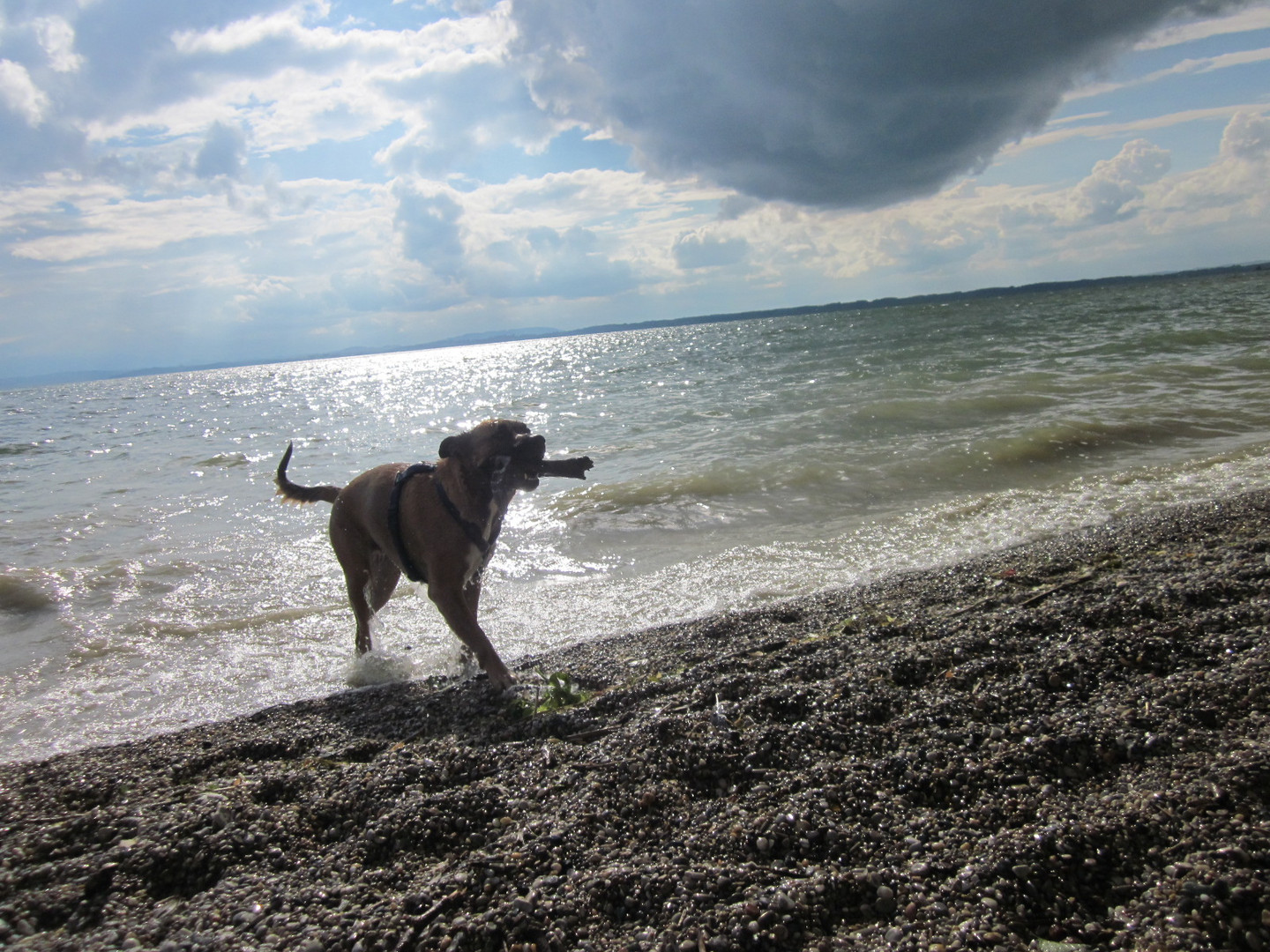 Madame und Chiemsee