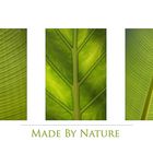 Made by Nature - reload-