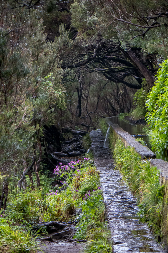 Madeira [16] – Der Weg