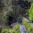 Madeira [16] – Der Weg