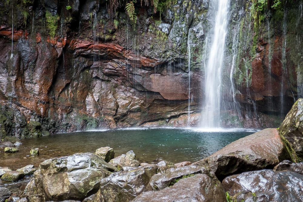 Madeira [18] – Pool