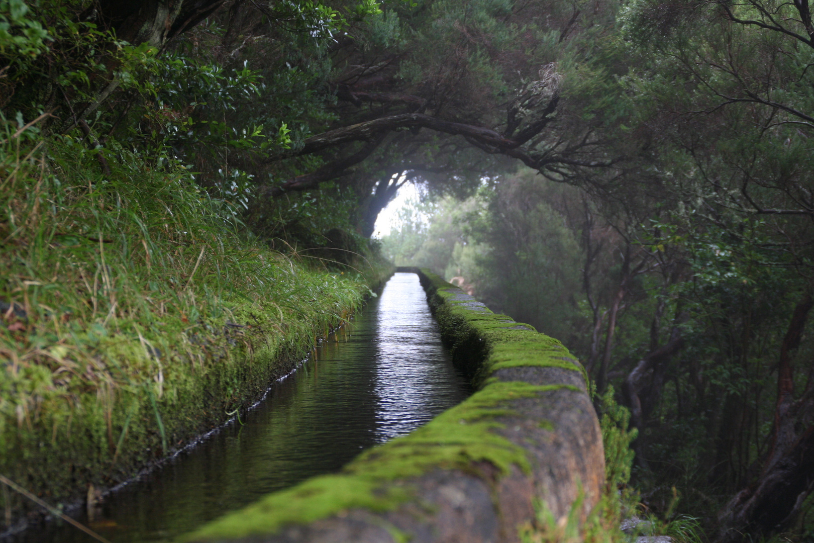 Madeira 2008