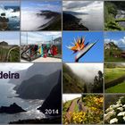 MADEIRA 2014