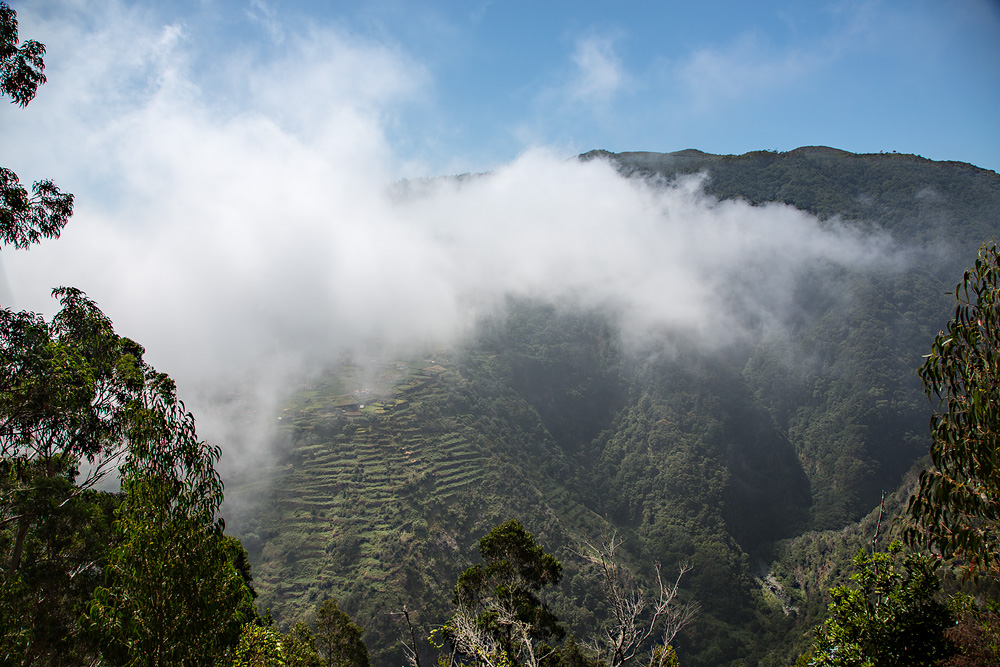 Madeira