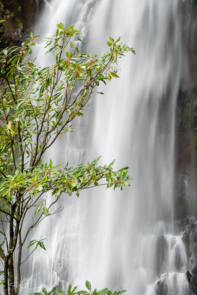 Madeira [22] – Wasserwand