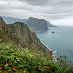 Madeira [23] – Küste