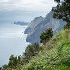 Madeira [24] – Küstenweg