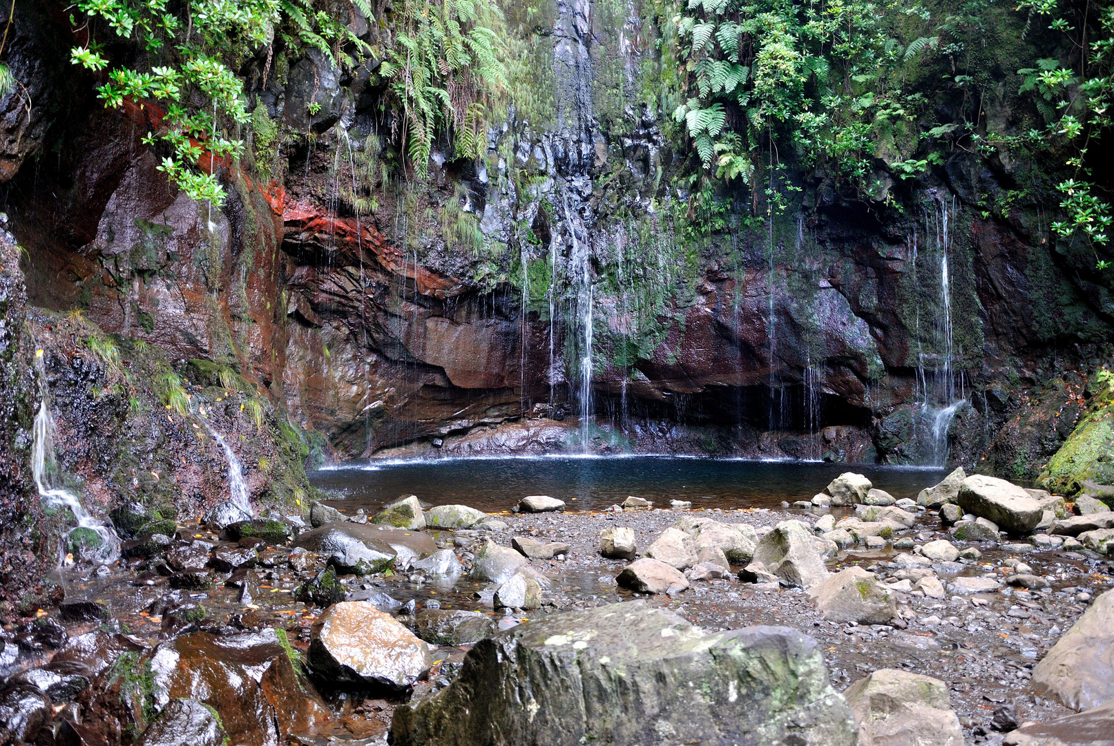 Madeira - 25 Fontes