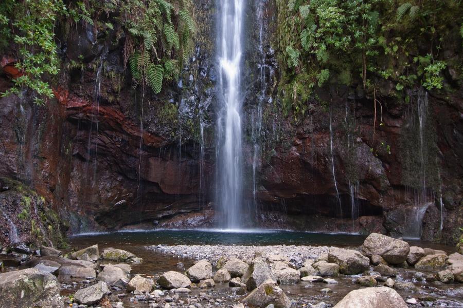 Madeira: 25 Fontes