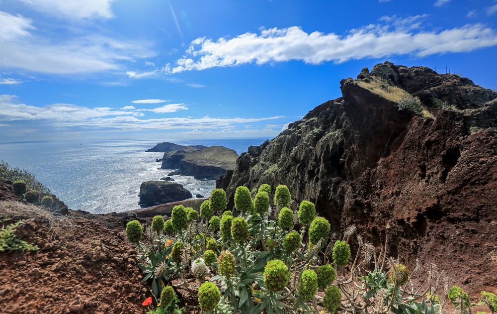 Madeira (27)