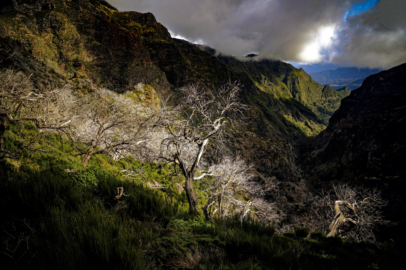 Madeira