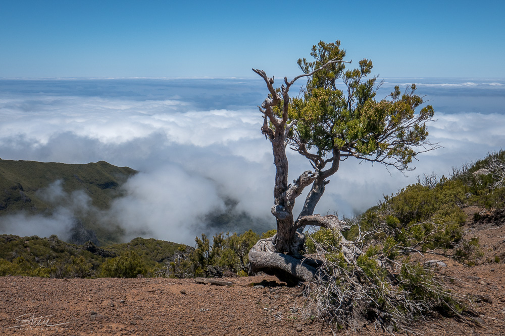 Madeira [36] – Windy Location