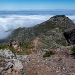 Madeira [37] – über den Wolken