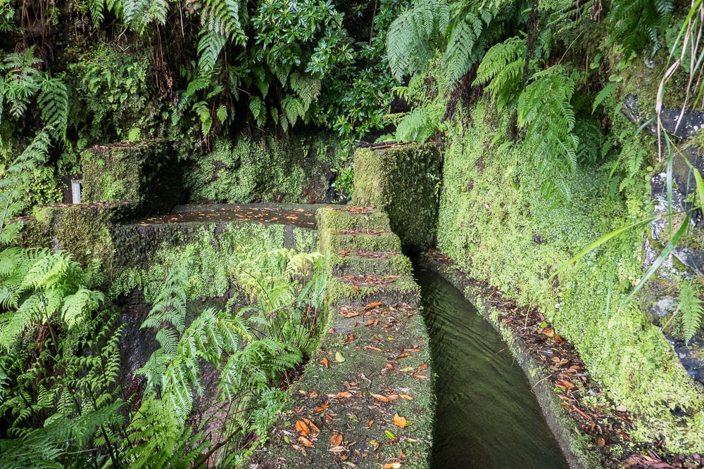 Madeira [4] – Levada