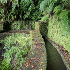 Madeira [4] – Levada