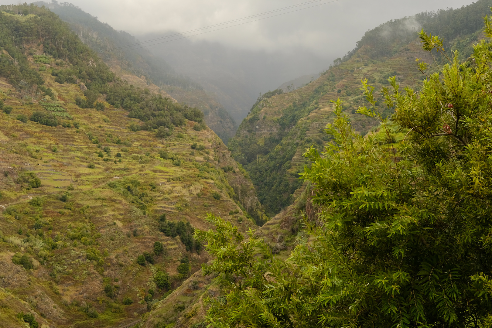 Madeira