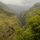 Madeira