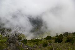 Madeira