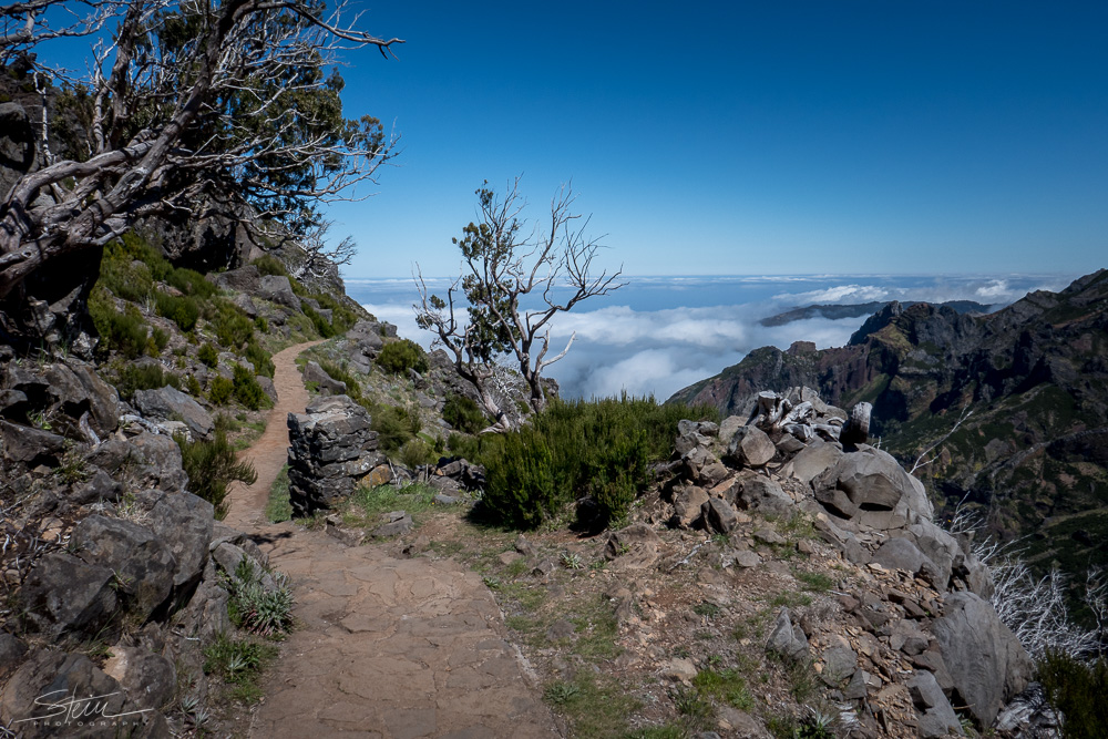 Madeira [46] – Weg zu den Wolken